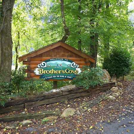 Vila Bear Crossing #6 Sevierville Exteriér fotografie