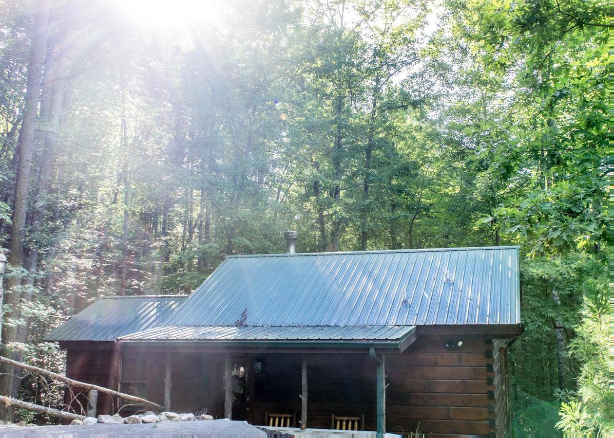 Vila Bear Crossing #6 Sevierville Exteriér fotografie